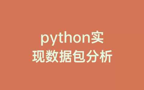 python实现数据包分析