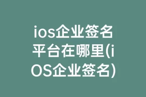 ios企业签名平台在哪里(iOS企业签名)