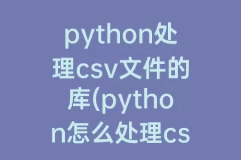 python处理csv文件的库(python怎么处理csv文件)