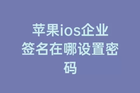 苹果ios企业签名在哪设置密码