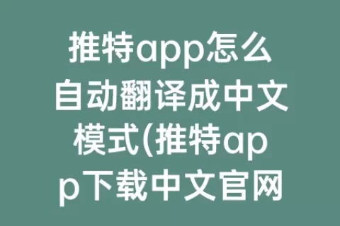 推特app怎么自动翻译成中文模式(推特app下载中文官网)