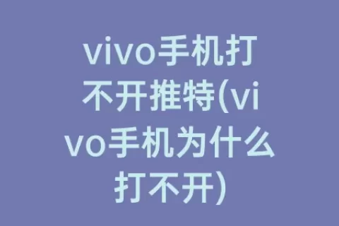 vivo手机打不开推特(vivo手机为什么打不开)