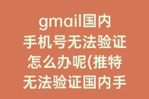 gmail国内手机号无法验证怎么办呢(推特无法验证国内手机号)