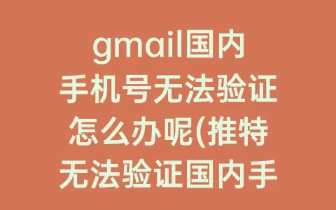 gmail国内手机号无法验证怎么办呢(推特无法验证国内手机号)