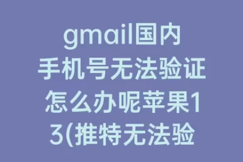 gmail国内手机号无法验证怎么办呢苹果13(推特无法验证国内手机号)