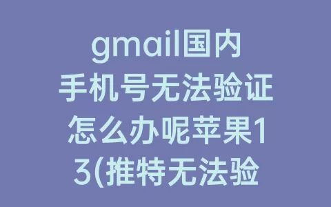 gmail国内手机号无法验证怎么办呢苹果13(推特无法验证国内手机号)
