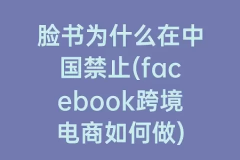脸书为什么在中国禁止(facebook跨境电商如何做)