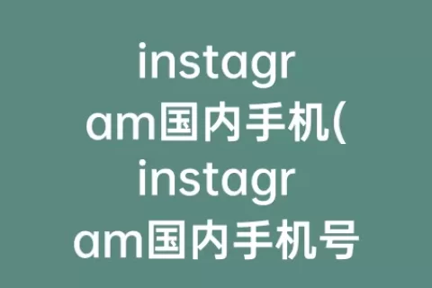 instagram国内手机(instagram国内手机号怎么注册不了)