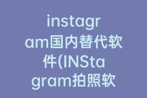 instagram国内替代软件(INStagram拍照软件)