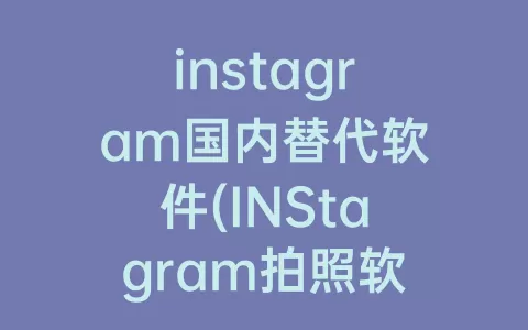instagram国内替代软件(INStagram拍照软件)