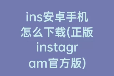 ins安卓手机怎么下载(正版instagram官方版)