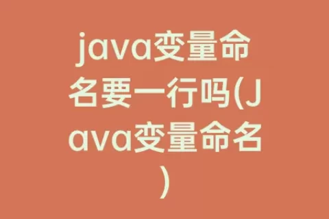 java变量命名要一行吗(Java变量命名)
