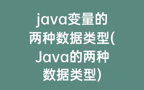 java变量的两种数据类型(Java的两种数据类型)