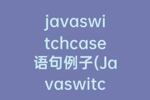 javaswitchcase语句例子(Javaswitchcase语句用法)