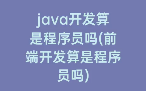 java开发算是程序员吗(前端开发算是程序员吗)