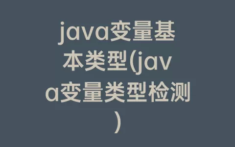 java变量基本类型(java变量类型检测)