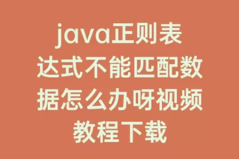 java正则表达式不能匹配数据怎么办呀视频教程下载