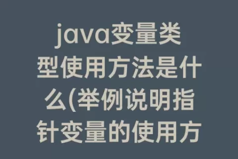 java变量类型使用方法是什么(举例说明指针变量的使用方法及其类型)