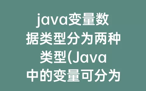 java变量数据类型分为两种类型(Java中的变量可分为什么数据类型)