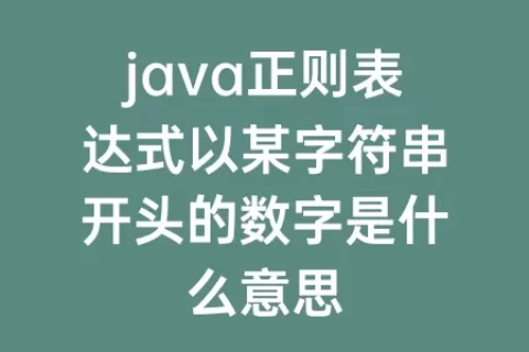 java正则表达式以某字符串开头的数字是什么意思