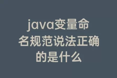 java变量命名规范说法正确的是什么