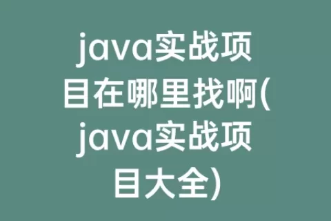 java实战项目在哪里找啊(java实战项目大全)