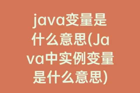 java变量是什么意思(Java中实例变量是什么意思)