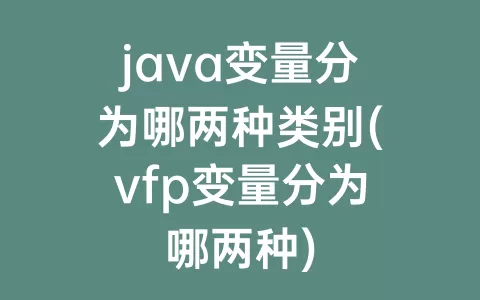java变量分为哪两种类别(vfp变量分为哪两种)