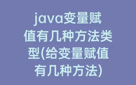 java变量赋值有几种方法类型(给变量赋值有几种方法)