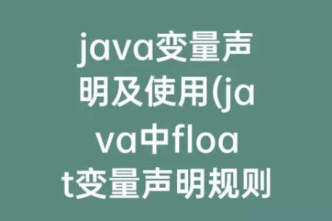 java变量声明及使用(java中float变量声明规则)
