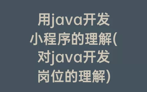 用java开发小程序的理解(对java开发岗位的理解)