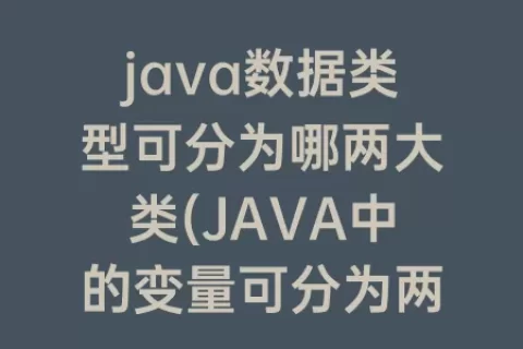 java数据类型可分为哪两大类(JAVA中的变量可分为两种数据类型)