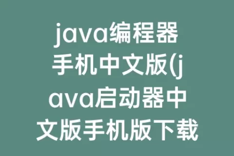 java编程器手机中文版(java启动器中文版手机版下载)
