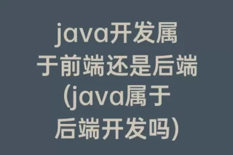 java开发属于前端还是后端(java属于后端开发吗)