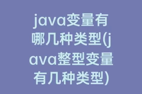 java变量有哪几种类型(java整型变量有几种类型)
