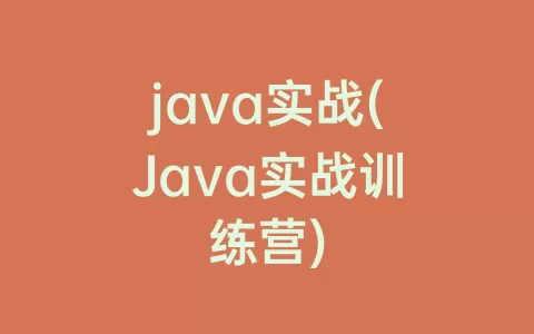 java实战(Java实战训练营)