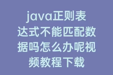 java正则表达式不能匹配数据吗怎么办呢视频教程下载