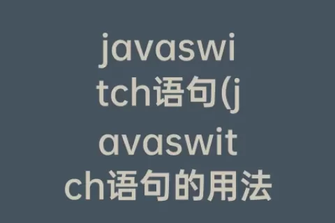 javaswitch语句(javaswitch语句的用法例子)