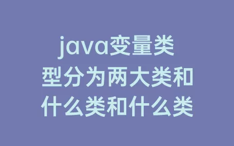 java变量类型分为两大类和什么类和什么类