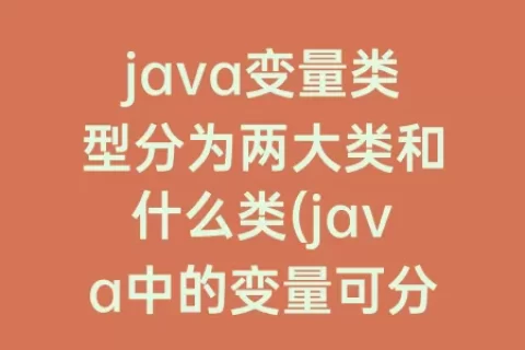 java变量类型分为两大类和什么类(java中的变量可分为两种类型)