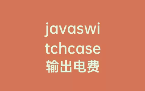 javaswitchcase输出电费