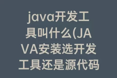 java开发工具叫什么(JAVA安装选开发工具还是源代码)