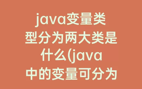 java变量类型分为两大类是什么(java中的变量可分为两种类型)