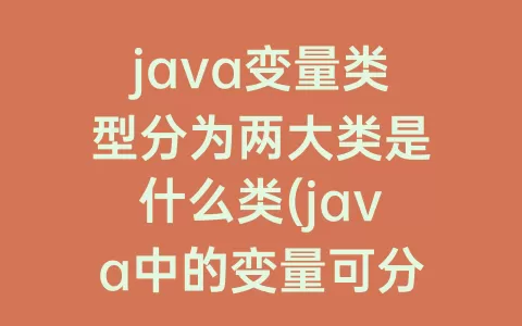 java变量类型分为两大类是什么类(java中的变量可分为两种类型)