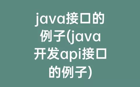 java接口的例子(java开发api接口的例子)