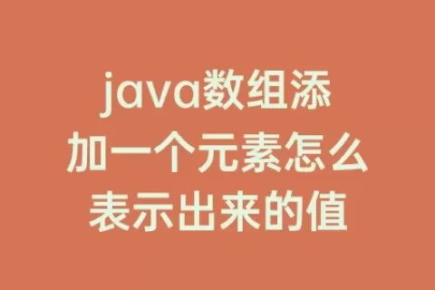 java数组添加一个元素怎么表示出来的值