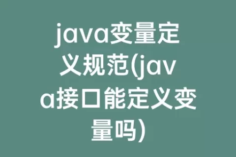 java变量定义规范(java接口能定义变量吗)