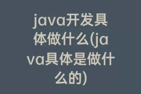 java开发具体做什么(java具体是做什么的)