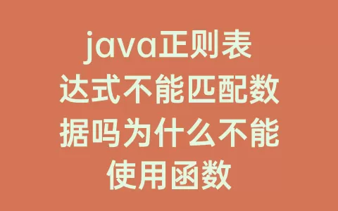 java正则表达式不能匹配数据吗为什么不能使用函数