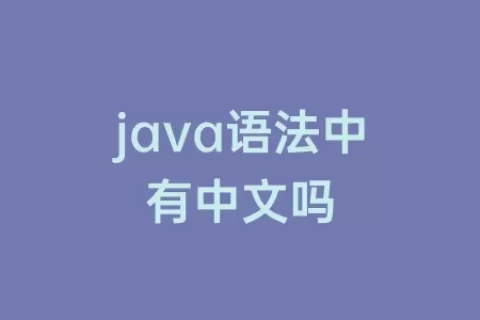java语法中有中文吗